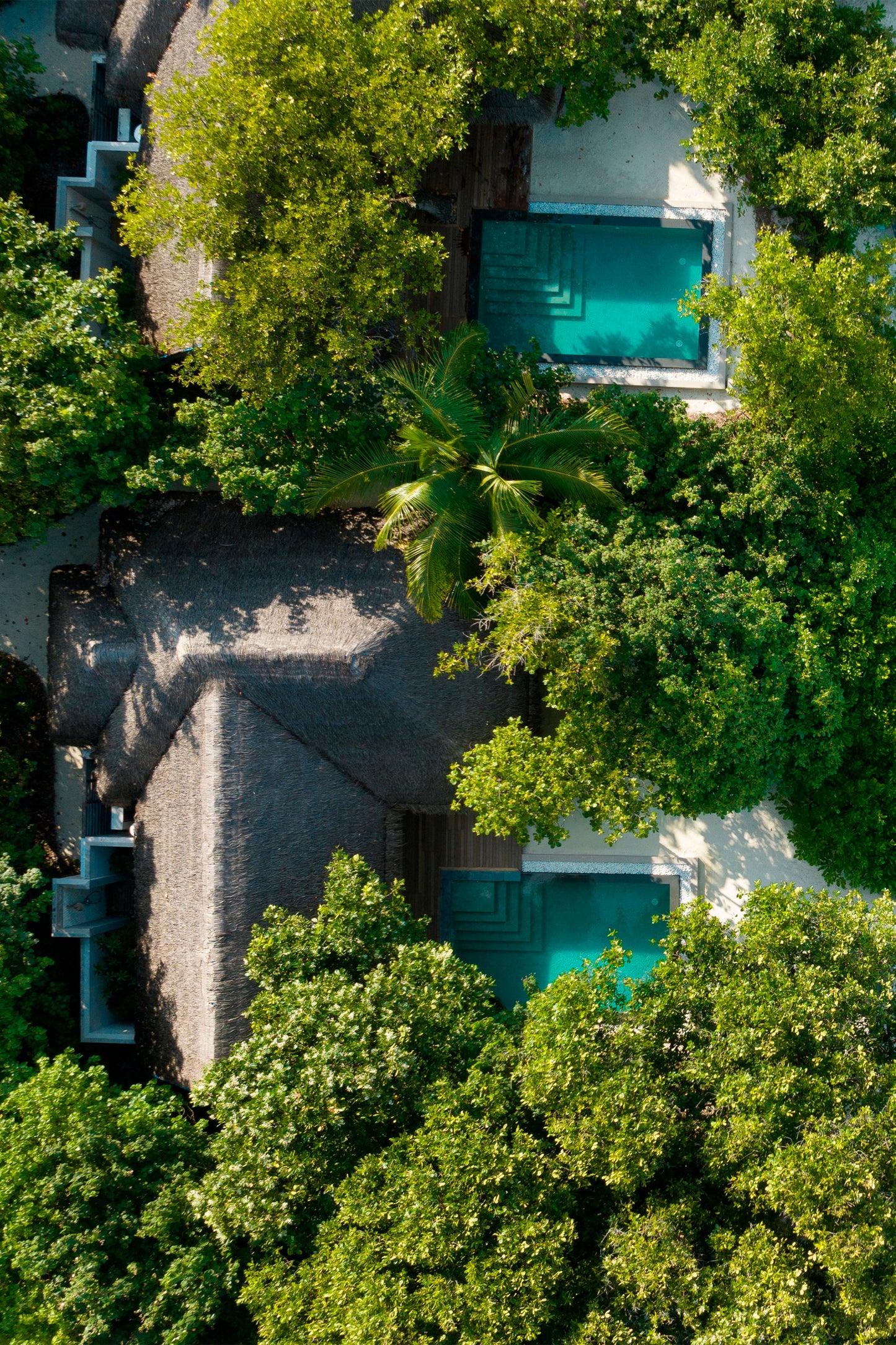 Vakkaru Maldives: The Dream Destination