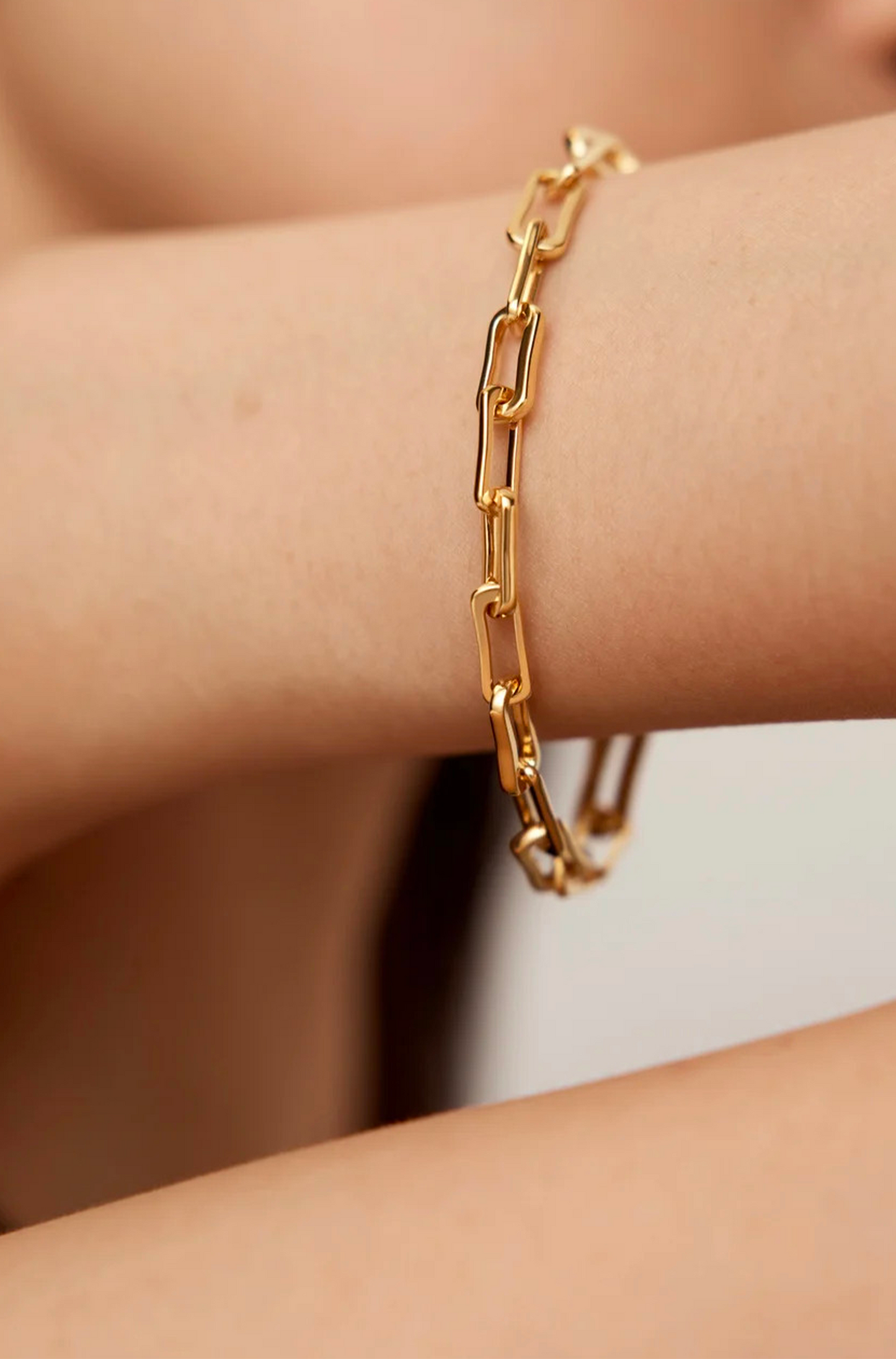 Alta Mini Chain Bracelet in Gold