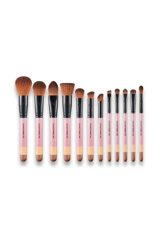 12 Piece Makeup Brush Set