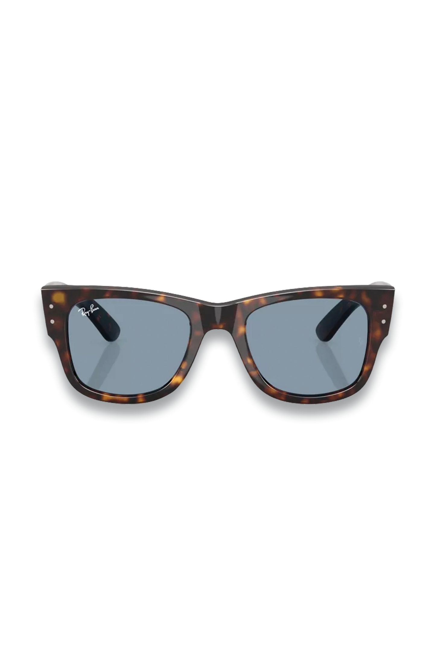 Wayfarer Sunglasses
