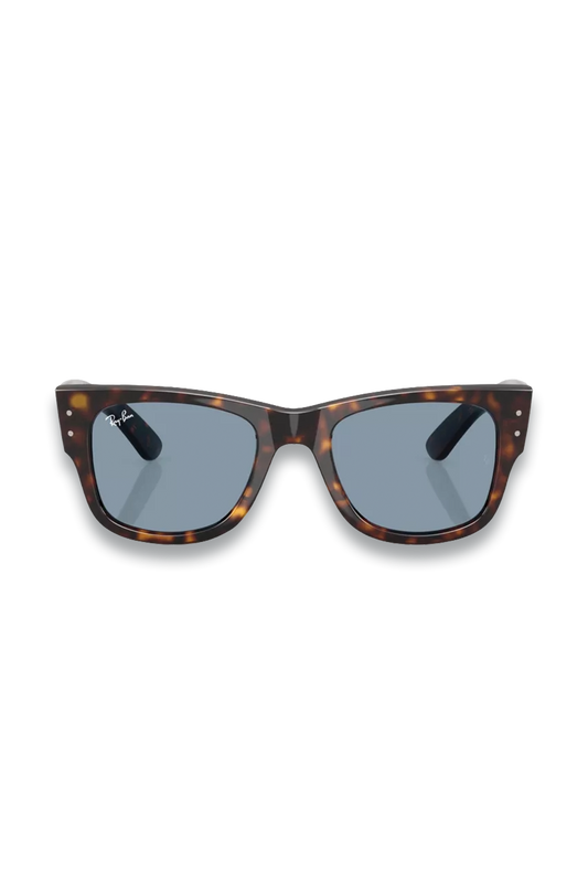Wayfarer Sunglasses