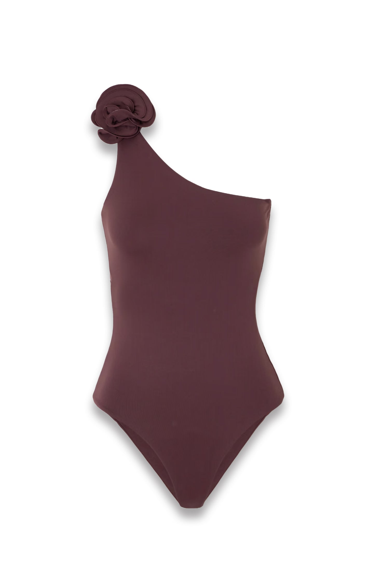 Embellished One-Shoulder Swimsuit