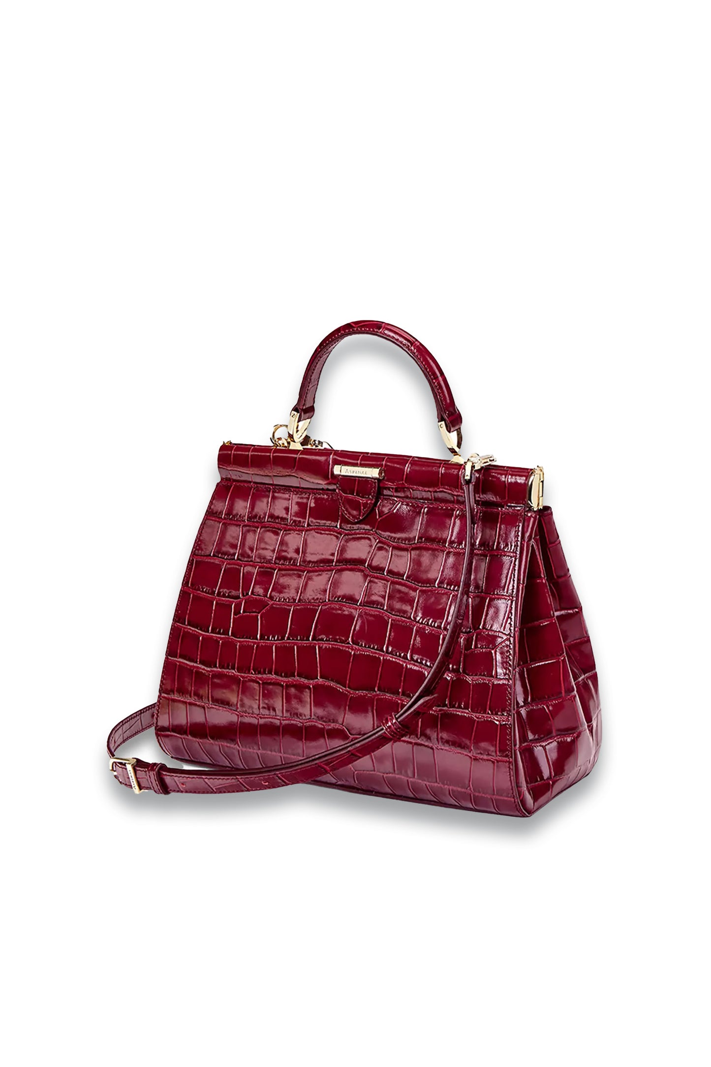 Deep Shine Bordeaux Croc bag
