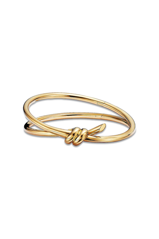 Double Row Hinged Bangle in Yellow Gold