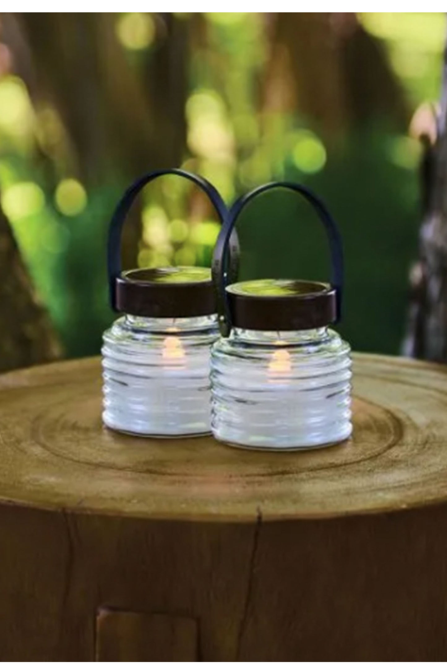 Aston LED Outdoor Portable Solar Jar Light