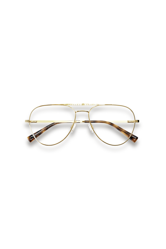 Rocket Man Glasses