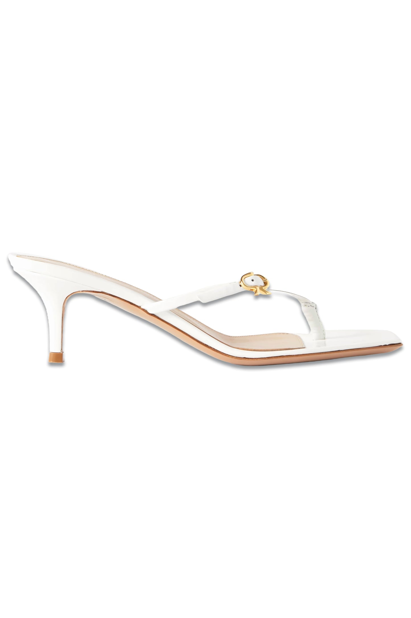 Vernice 55 Buckled Leather Mules