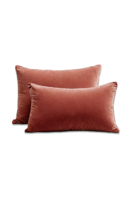 Cushion Edition - Small