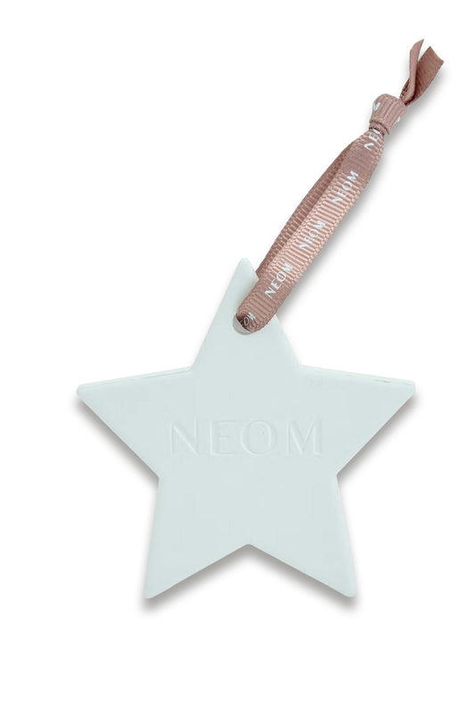 Ceramic Star Natural Diffuser