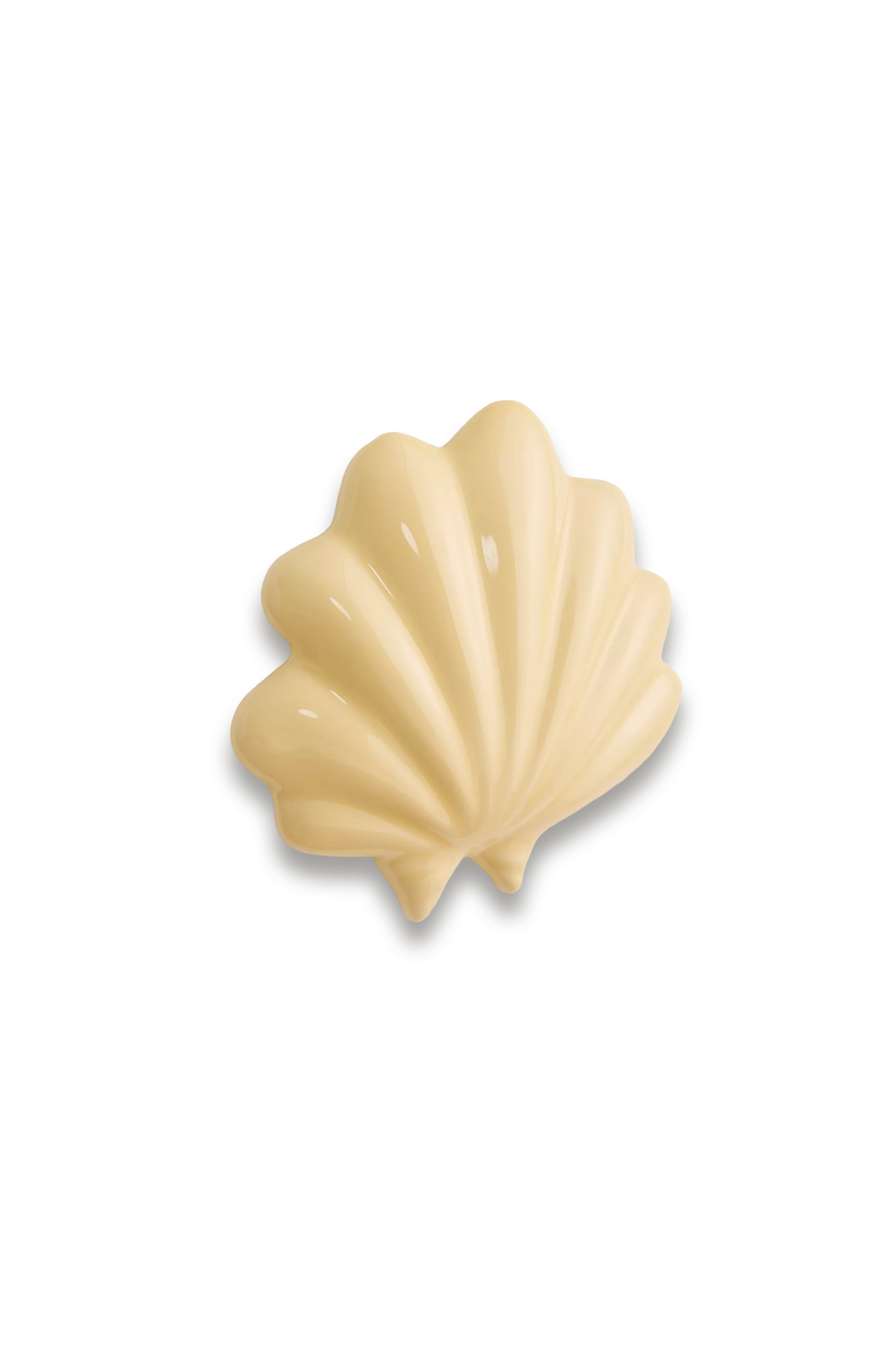 Shell Wall Decoration