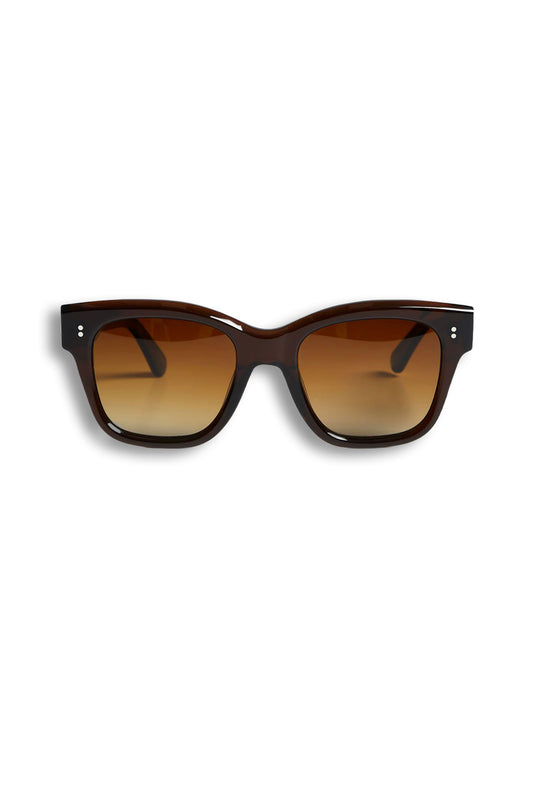 Seven Chimi Large Frame Acetate Sunglasses in Brown