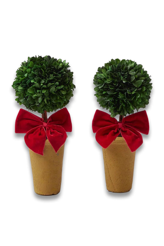 Red Ribboned Potted Boxwood Ball (Pair)