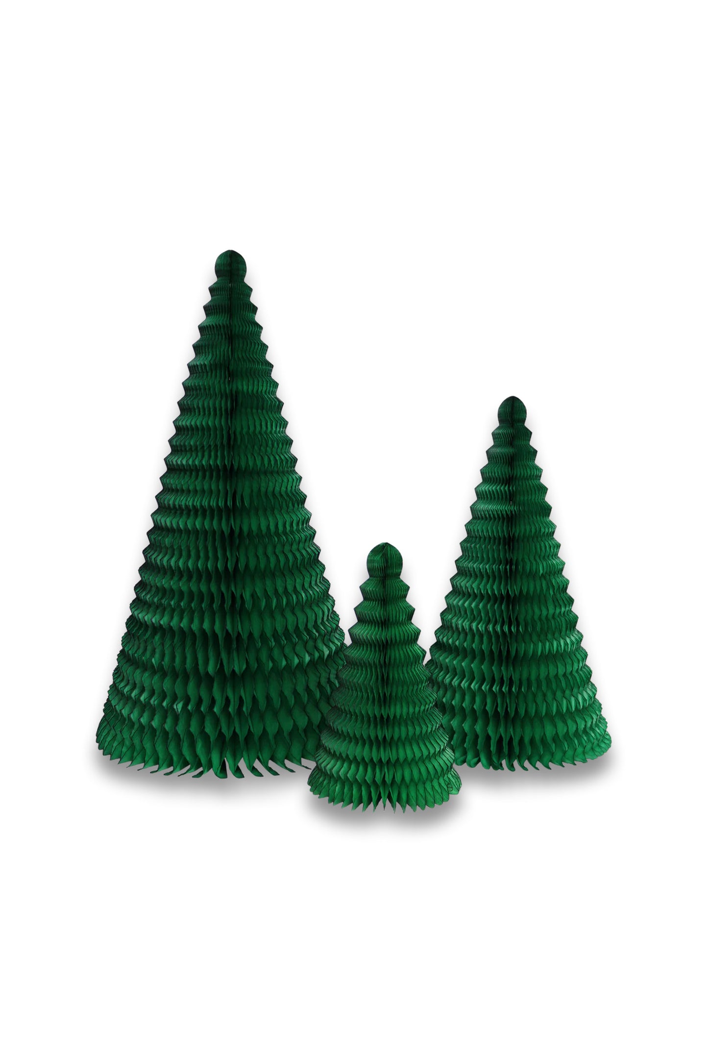 Cone Tree Traditional Green