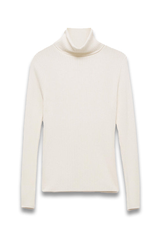 Wool blend turtleneck sweater