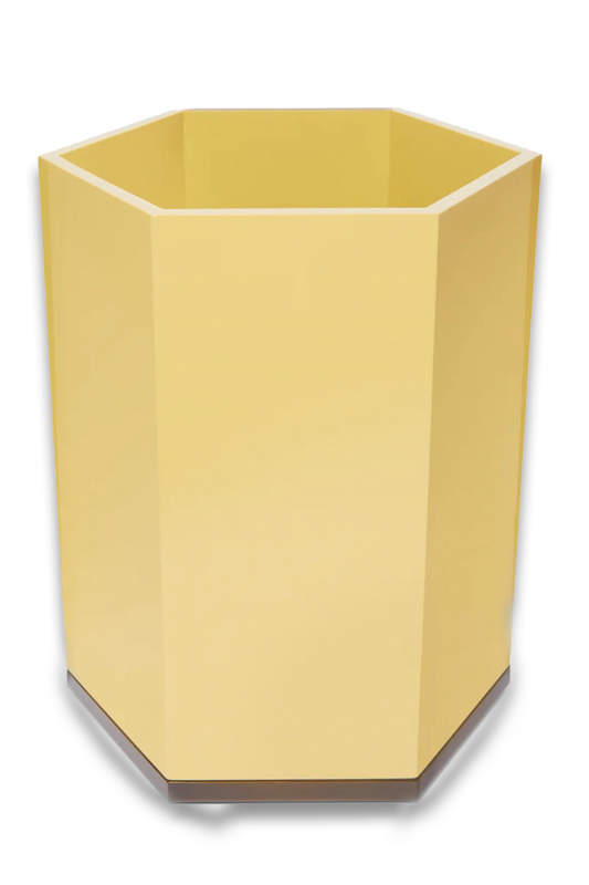 Lacquered Hexagonal Bin