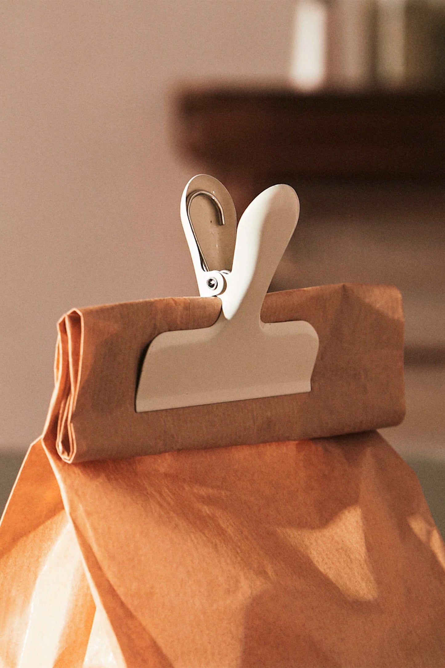 Metallic Clips (Set Of 3)