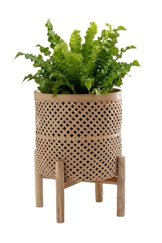 Bambu Bamboo Flowerpot With Stand