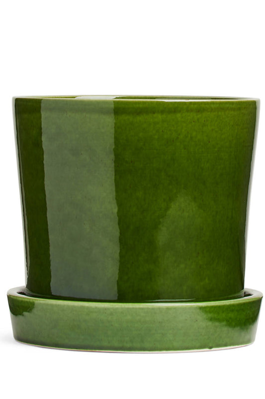 Terracotta Flower Pot