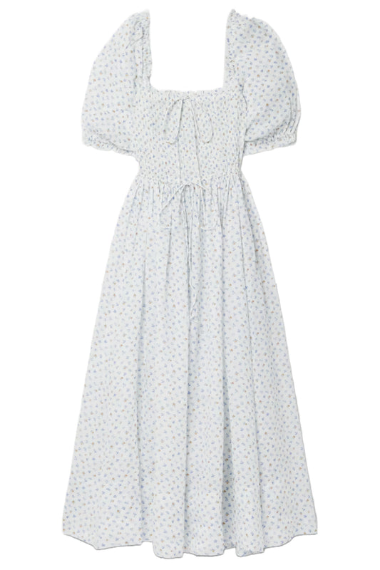 Siena Shirred Floral-print Ramie Maxi Dress